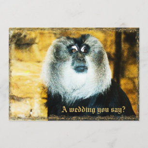 Fun Monkey Photo Zoo Wedding Invitations