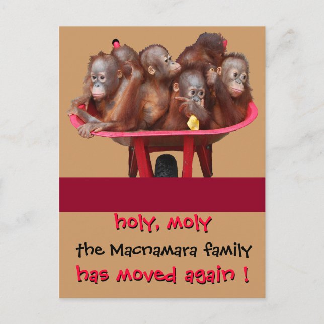 Fun Moving New Address Announcement (Front)