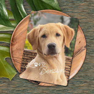 Fun My Best Friend Picture Love Paw Print Card