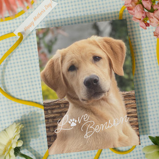 Fun My Best Friend Picture Love Paw Print Card