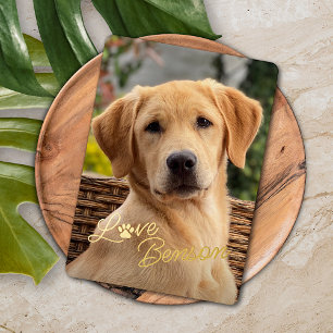 Fun My Best Friend Picture Love Paw Print Foil Holiday Card