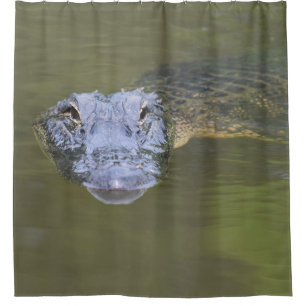 Fun Novelty Aligator Swamp Gator Wildlife Animal