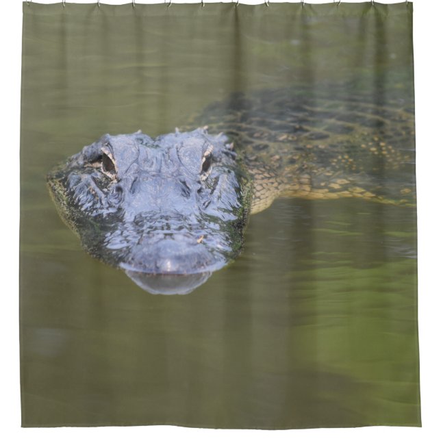 Fun Novelty Aligator Swamp Gator Wildlife Animal (Front)
