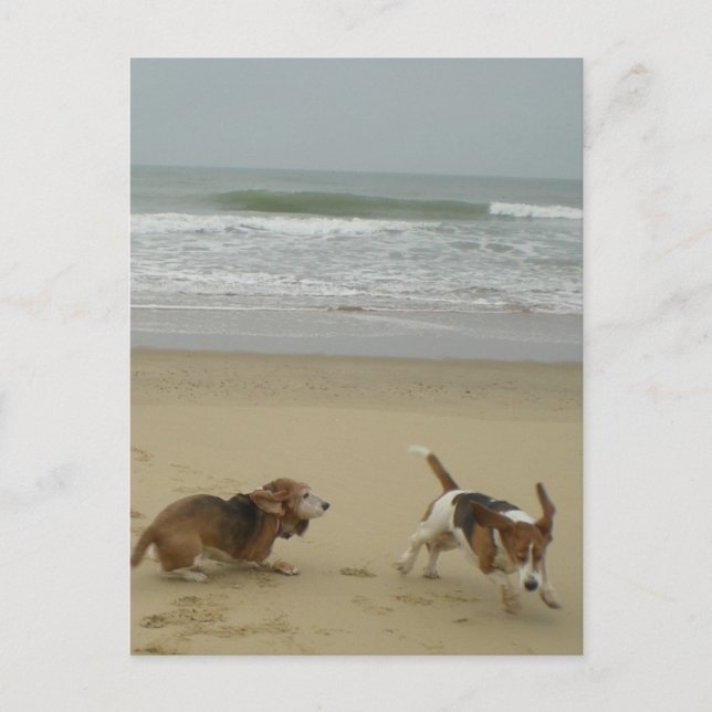 Fun on the beach postcard (Front)