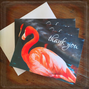 Fun orange pink flamingo photo thank you note card