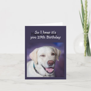 Fun Over the Hill Old Age Birthday Humour Dog Card
