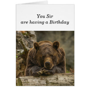 Fun Over the Hill Serious Looking Grizzly Bear