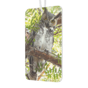 Fun Owl Looking At You Air Freshener