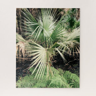 Fun Palm Tree Leaves Puzzle