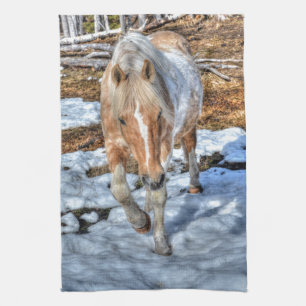 Fun Palomino Paint Ranch Horse Animal-lover Photo Kitchen Towel