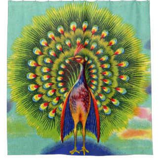 fun peacock print