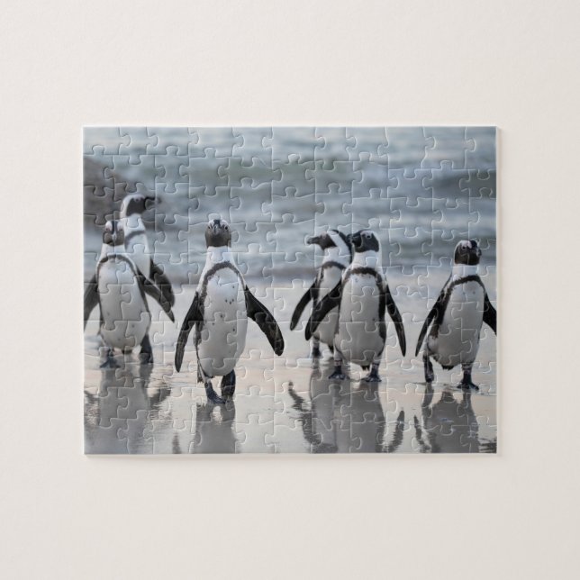 Fun Penguin Bird Wildlife Nature Art Jigsaw Puzzle (Horizontal)