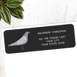Fun Pigeon Bird Adresse de retour