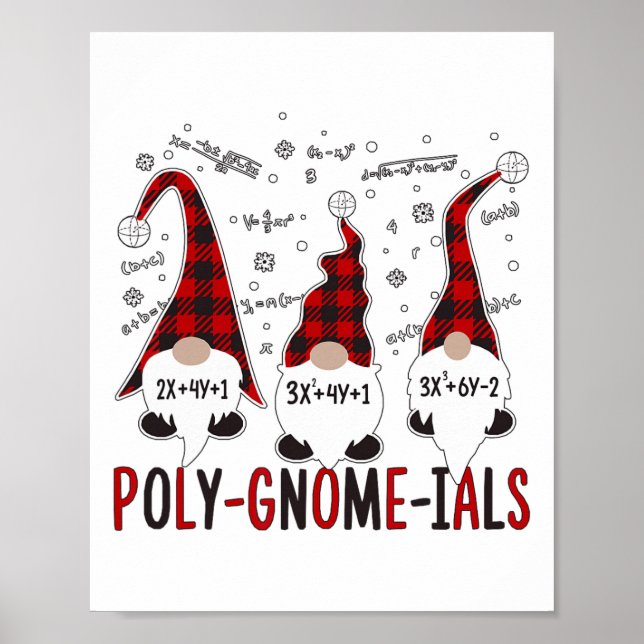 Fun Polynomial Calculus Algebra Poly-gnome-ials Ma Poster (Front)