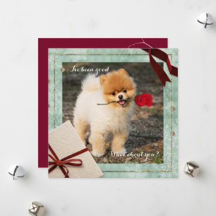 Fun Pomeranian Christmas I've Been Good Flat Card