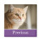 Fun Purple Personalized Pet Photo Magnet