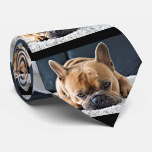 Fun Querky Cute French Bulldog Tie
