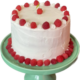 Fun Raspberry Cake Petite carte de voeux