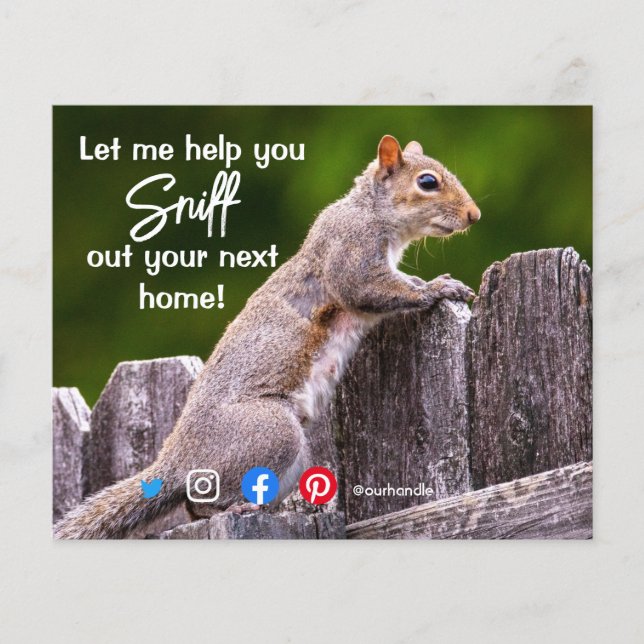 fun real estate sniff out your next home squirrel flyer (Front)