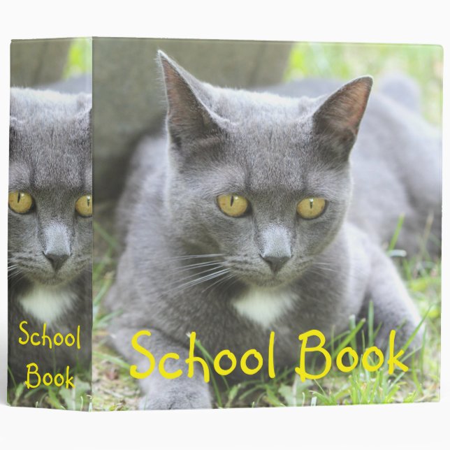 Fun School Binder (Front/Spine)