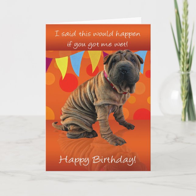 Fun Shar Pei Birthday Card With Birthday Humour (Front)
