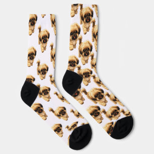 Fun Shih Tzu Dog Socks