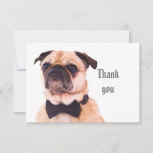 Fun Silly Formal Pug Dog Thank You Card