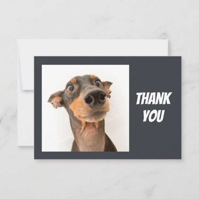 Fun Silly Shocked looking Dog Thank You Card (Front)