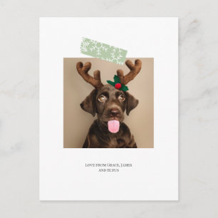 Fun Snowflake Tape Christmas Photo (postcard back) Postcard