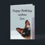 Fun Son Birthday Wishes Siamese Cat Card<br><div class="desc">Funny Son Birthday Wishes Siamese Cat Animal Humour you up.   Perfect for that Son in your life with a sense of humour,  a love of cats and a birthday</div>