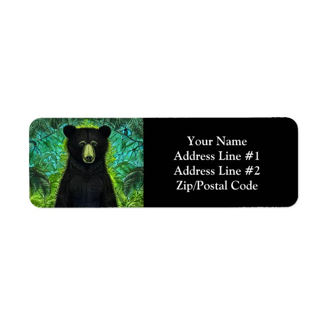 Fun Storybook Little Black Bear (Front)