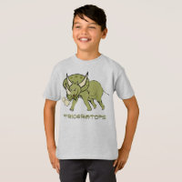 Fun Triceratops Dino
