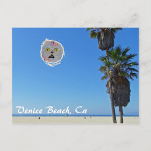 Fun Venice Beach Postcard! Postcard