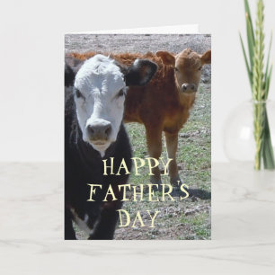 Fun Western Happy Father's Day Calf Calves Card