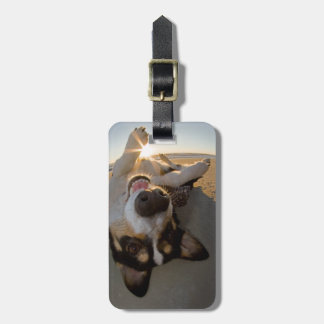 Fun with the Sun Luggage Tag