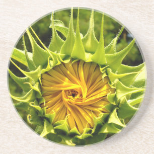 Fun yellow floral Sunflower Coaster