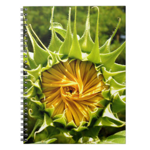 Fun yellow floral Sunflower Notebook