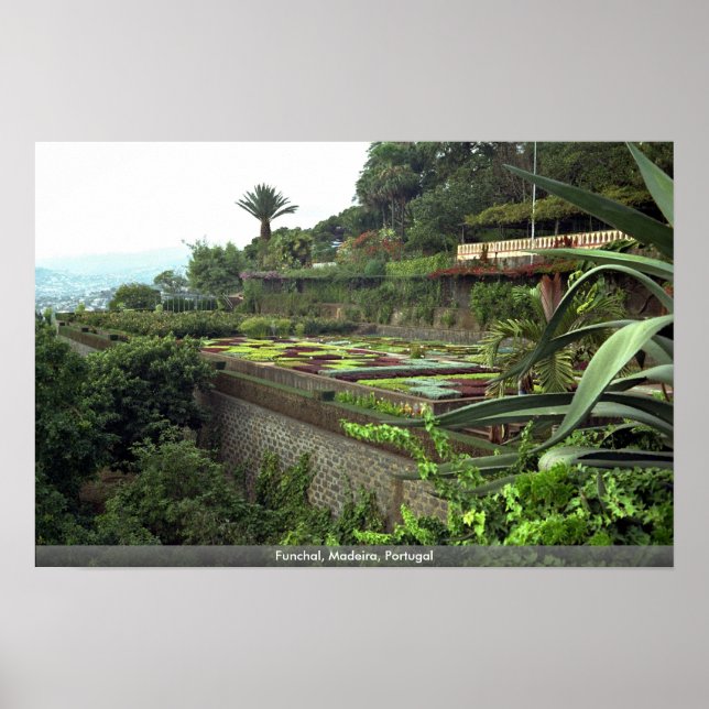 Funchal, Madeira, Portugal Poster (Front)