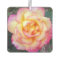 Fundarosa Rose