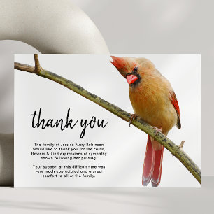 Funeral Thank You Note   Cardinal Bird Card