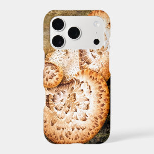 FUNGI   