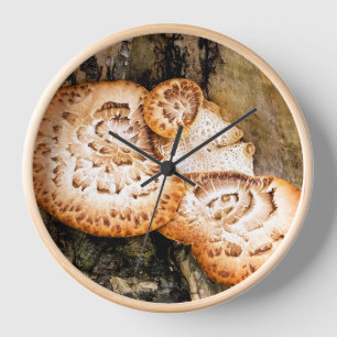 FUNGI  CLOCK