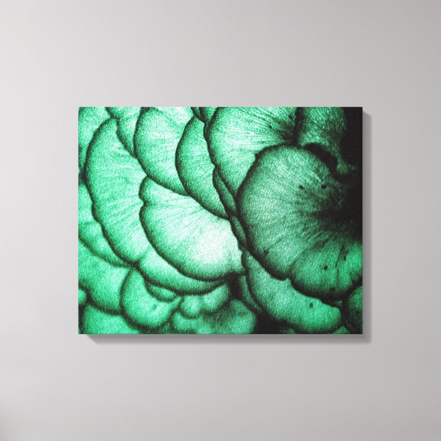 Fungi Flowers/Nature's Abstract Canvas Print (Front)