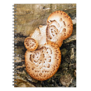 FUNGI NOTEBOOK