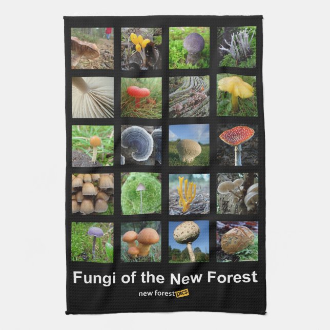 Fungi of the New Forest teatowel Kitchen Towel (Vertical)