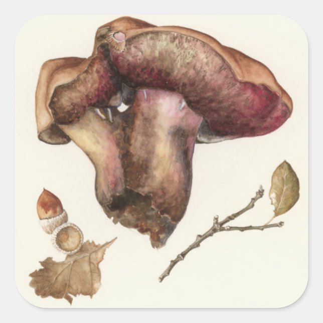 Fungus Square Sticker (Front)