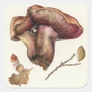 Fungus Square Sticker