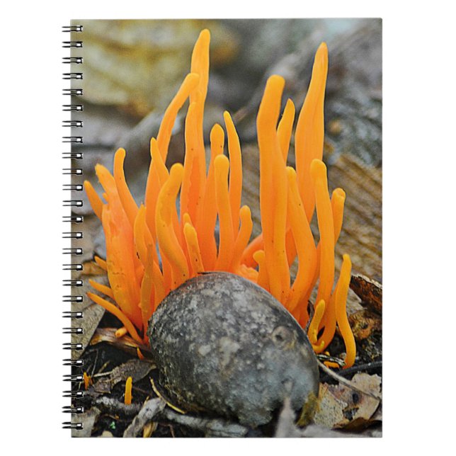 Funki Fungi Notebook (Front)