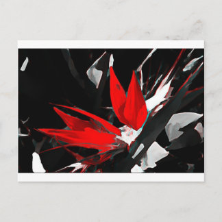 Funky Bird of Paradise Postcard
