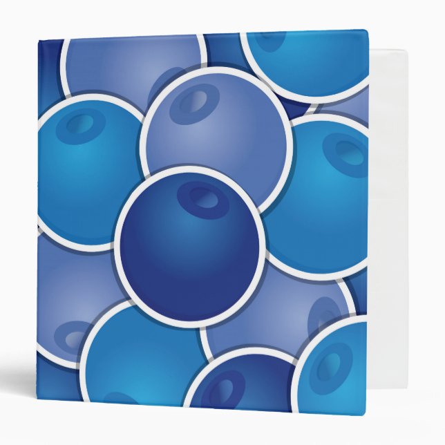 Funky blueberry binder (Front/Inside)